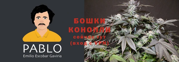 apvp Верхний Тагил