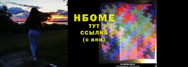 прущие грибы Бородино
