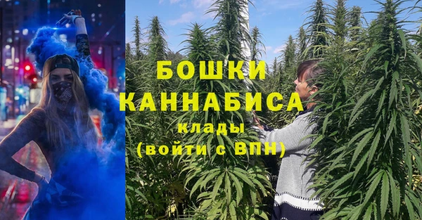 амф Верея