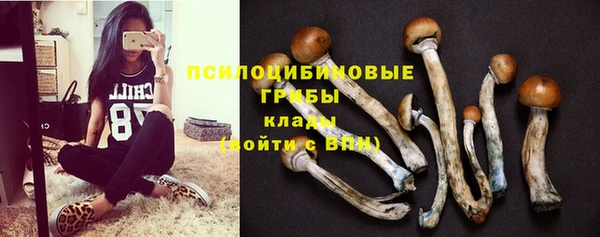 амф Верея