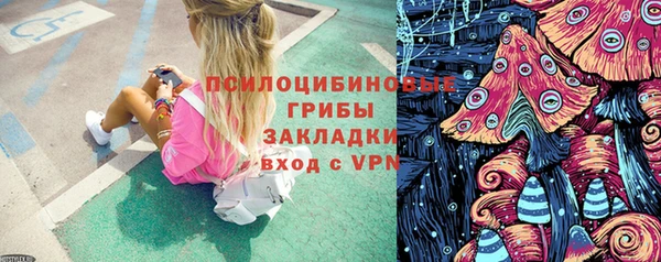 apvp Верхний Тагил